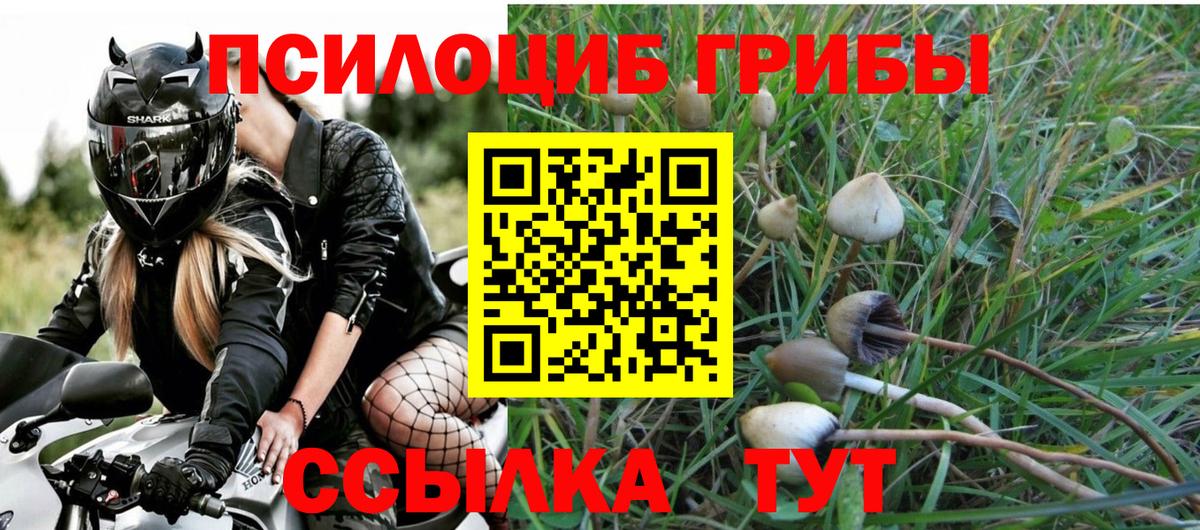 Алушта  Псилоцибиновые грибы прущие грибы  Вход с VPN  Галлюциногенные грибы прущие грибы 
